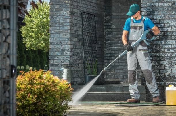 Best Fence Cleaning  in Lemay, MO