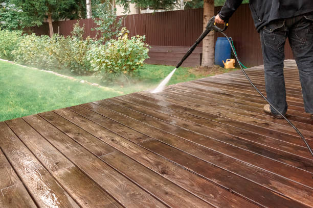 Best Animal Enclosure Cleaning  in Lemay, MO
