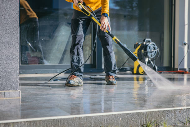 Best Residential House Exterior Washing  in Lemay, MO