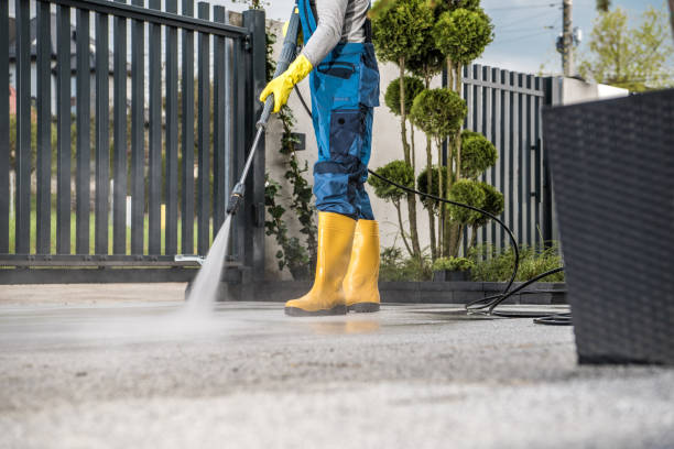 Best Driveway Pressure Washing  in Lemay, MO